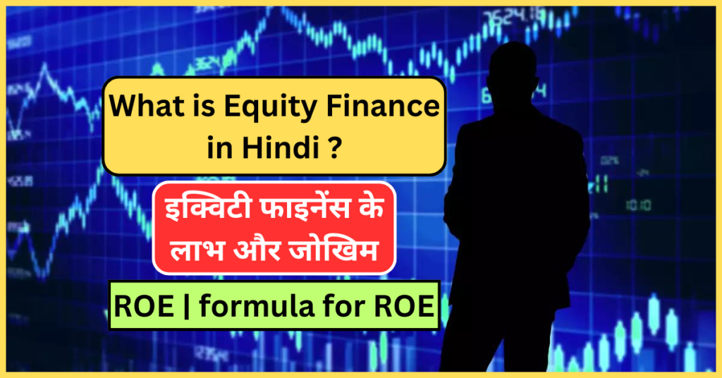 What is Equity Finance in Hindi ? - इक्विटी फाइनेंस के लाभ और जोखिम | ROE | formula for ROE