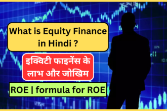 What is Equity Finance in Hindi ? - इक्विटी फाइनेंस के लाभ और जोखिम | ROE | formula for ROE