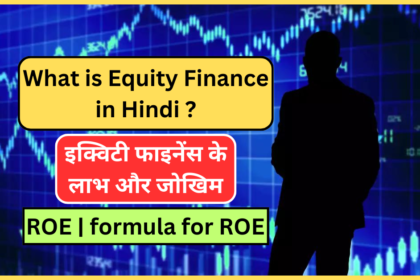 What is Equity Finance in Hindi ? - इक्विटी फाइनेंस के लाभ और जोखिम | ROE | formula for ROE