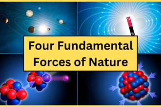 Four Fundamental Forces of Nature | Gravity, Electromagnetism | Explained in Hindi- 2024