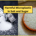 नमक और चीनी में माइक्रोप्लास्टिक: सेहत पर मंडराता खतरा | Harmful Microplastic in Sugar and Salt