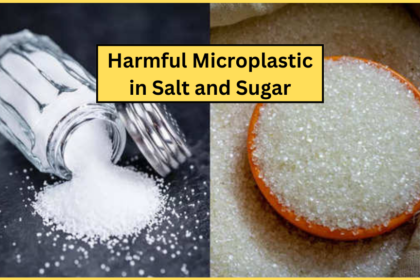 नमक और चीनी में माइक्रोप्लास्टिक: सेहत पर मंडराता खतरा | Harmful Microplastic in Sugar and Salt