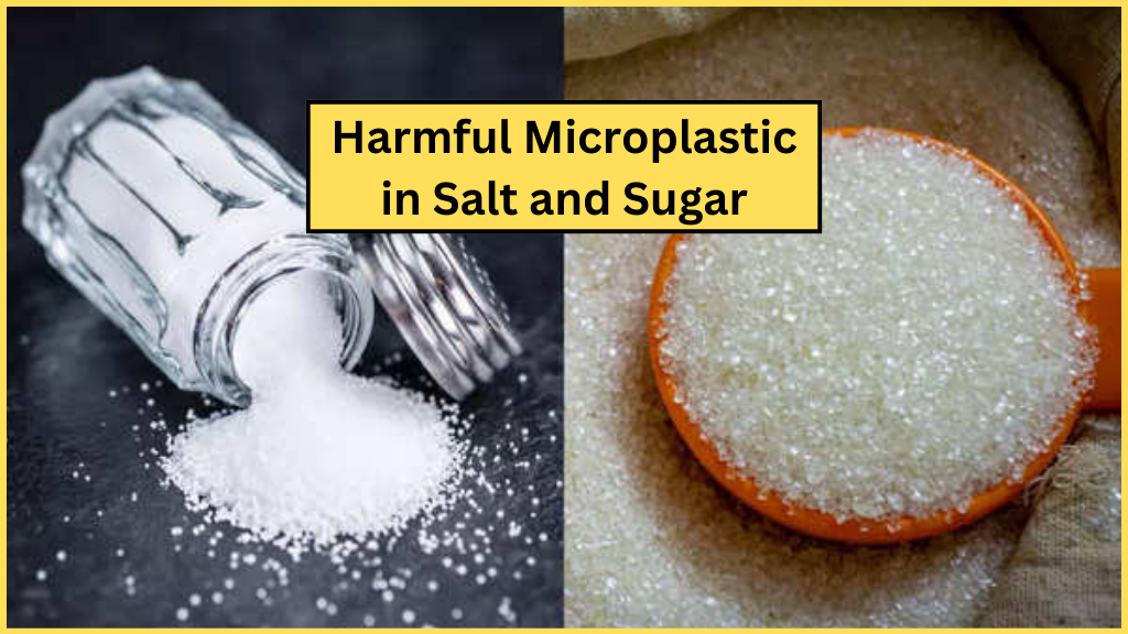 नमक और चीनी में माइक्रोप्लास्टिक: सेहत पर मंडराता खतरा | Harmful Microplastic in Sugar and Salt